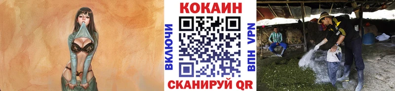 Цена Кострома Конопля  СОЛЬ  Экстази  ГАШ  Мефедрон  Cocaine 