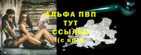 шишки Бородино