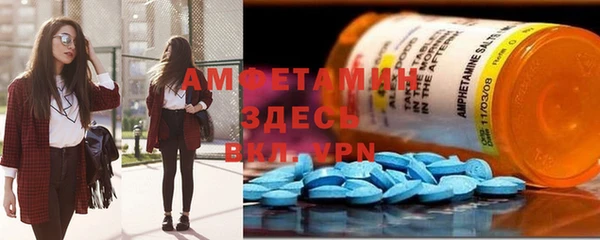 шишки Бородино
