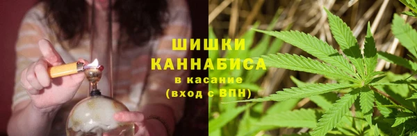 шишки Бородино