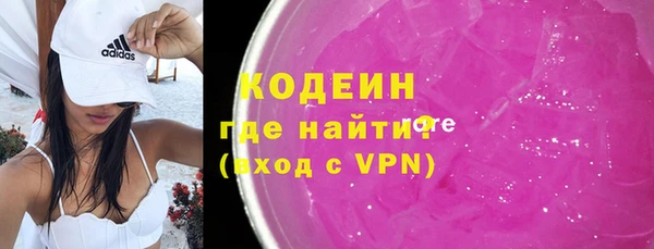 шишки Бородино