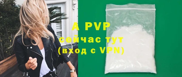 шишки Бородино