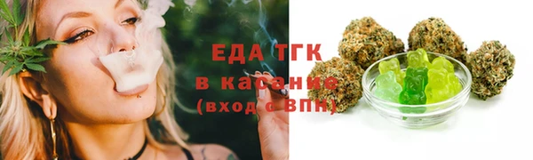 шишки Бородино