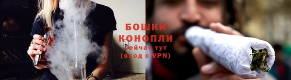шишки Бородино