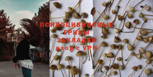 ешки Бронницы