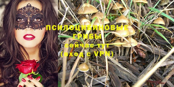 ешки Бронницы