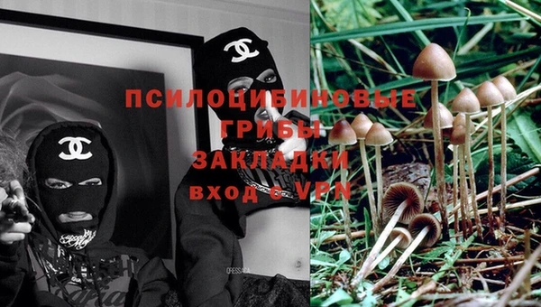 ешки Бронницы