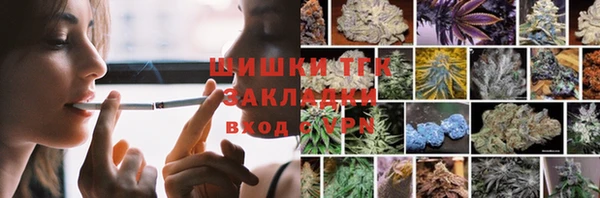шишки Бородино